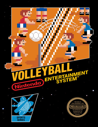 Volleyball NES