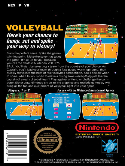 Volleyball NES