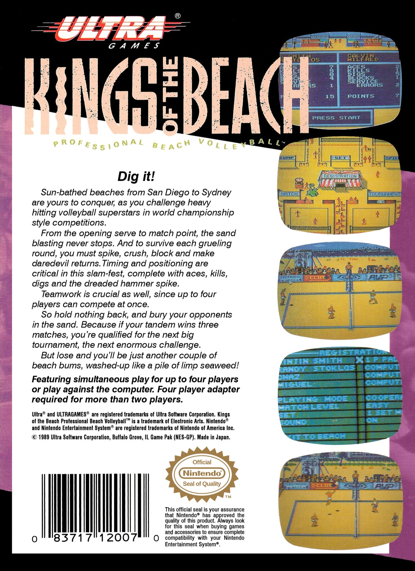 Kings of the Beach NES