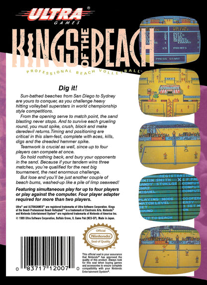 Kings of the Beach NES