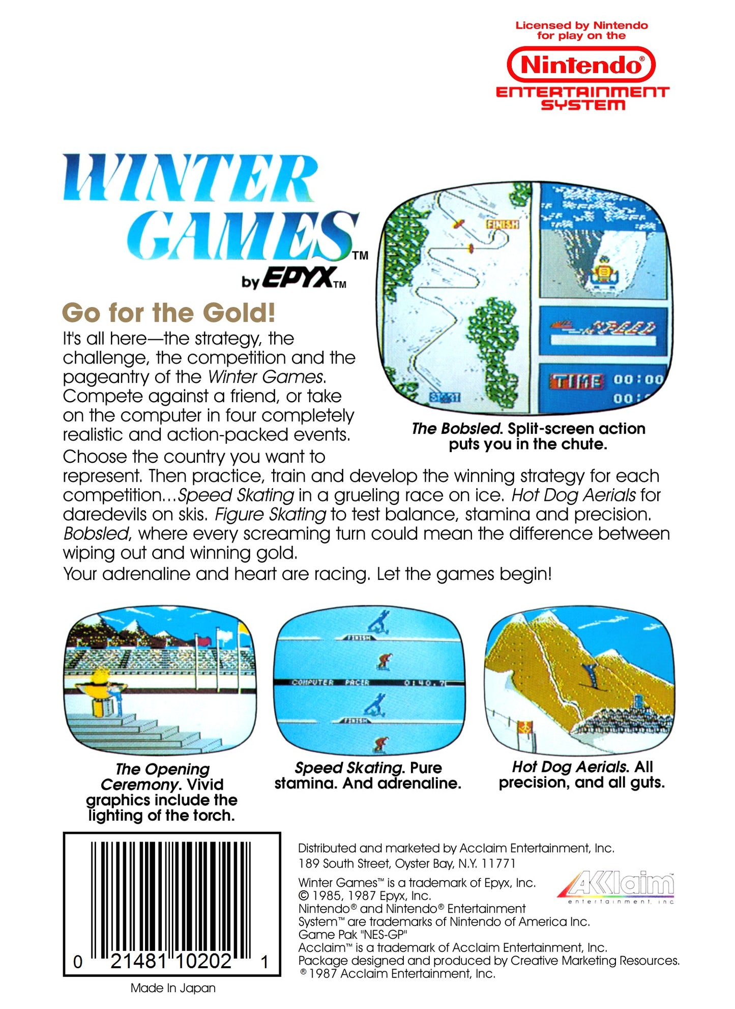 Winter Games NES